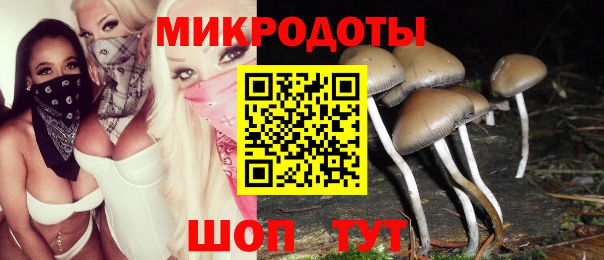 Воткинск  Псилоцибиновые грибы мицелий  Псилоцибиновые грибы Psilocybine cubensis  Вход с VPN 
